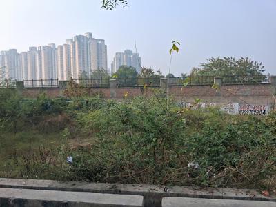 Rwa Sector 151 Plot View 1