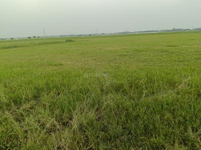 Image of 1000 Sq.ft Residential Plot / Land for sale in Tal Kandala, Gorakhpur for Rs. 799000