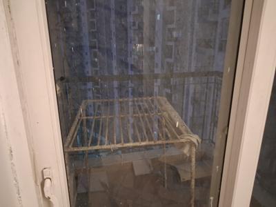 Balcony Image of 600 Sq.ft 1 BHK Apartment / Flat for rent in Amrapali Dream Valley 2, Noida Extension Greater Noida for Rs. 17000