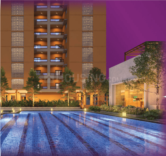 Pacifica Amara Main Image 1