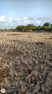 Landcore Developers Plot In Sarde Plot View 1