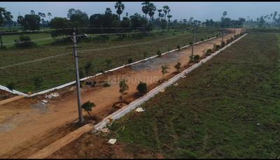 Powerpet Plot View 2