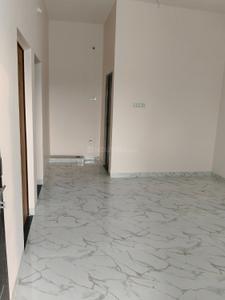 Hall Image of 1200 Sq.ft 2 BHK Independent House for rent in Kurud Bhilai for Rs. 7000