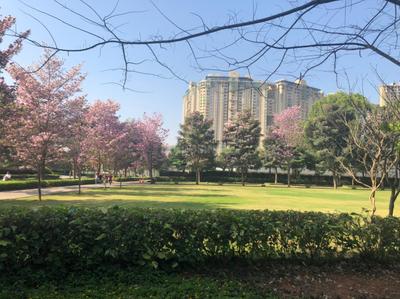 Image of 1139 Sq.ft 2 BHK Apartment / Flat for sale in Nikoo Homes V, Kannuru, Bengaluru for Rs. 14900007