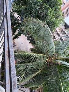 Balcony Image of 780 Sq.ft 2 BHK Apartment / Flat for rent in Modispaces Valley View, Borivali West Mumbai for Rs. 55000