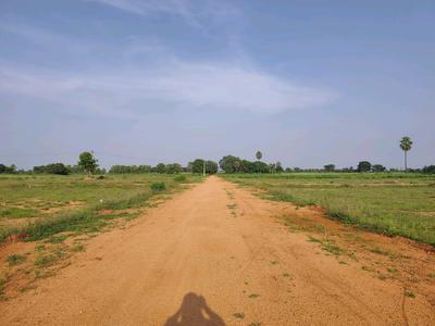 Image of 250 Sq.ft Residential Plot / Land for sale in Sampangi The Green Ridge, Alair, Yadadri Bhuvanagiri for Rs. 2497502