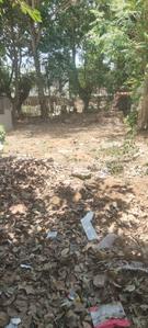 Classic layout Plot View 2