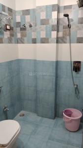 Bathroom Image of 780 Sq.ft 1 BHK Apartment / Flat for rent in PGH People Enclave Plotted Residential Project, Ayodhya Bypass Bhopal for Rs. 15000