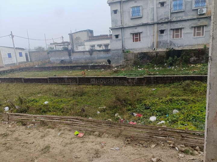 Rambagh Main Image 1