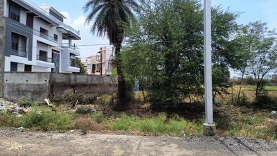 Residential Plot