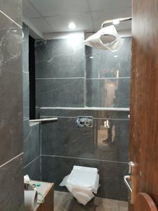 Common Bathroom Image of 750 Sq.ft 2 BHK Apartment / Flat for sale in Primex Krishna Apartment, Kulesara Greater Noida for Rs. 3990000