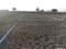 SWARAJYA LANDS Main Image 1
