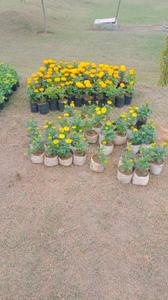 Image of 900 Sq.ft Residential Plot / Land for sale in BDI Aranya, Matila, Bhiwadi for Rs. 5100000