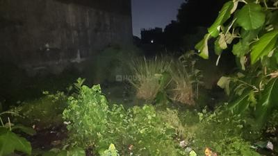 Bada Lalpur Plot View 2