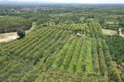 Image of 20400 Sq.ft Residential Plot / Land for sale in Biharigarh, Saharanpur for Rs. 50000000