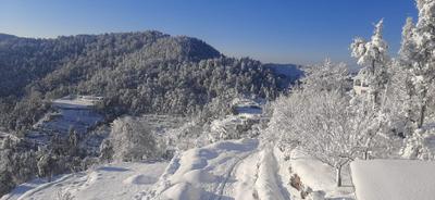 Image of 2160 Sq.ft Residential Plot / Land for sale in Parwara, Nainital for Rs. 2500000