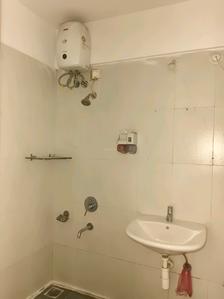 Common Bathroom Image of 759 Sq.ft 1.5 BHK Apartment / Flat for rent in Lodha Casa Rio, Palava Phase 1 Thane for Rs. 20000