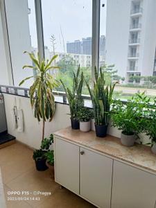 Balcony Image of 2275 Sq.ft 4 BHK Apartment / Flat for sale in Godrej Golf Link, Jaypee Greens Greater Noida for Rs. 34800000