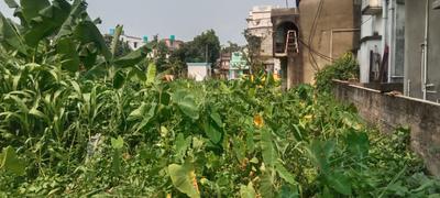 HARISAVA DADURMATH Plot View 2