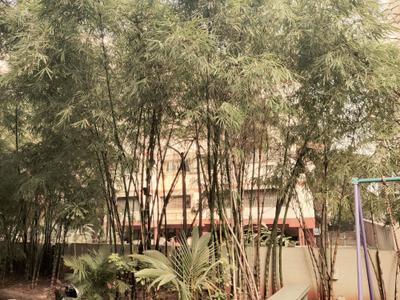 Image of 1705 Sq.ft 3 BHK Apartment / Flat for sale in 5 Star Royal Grace, Bopodi, Pune for Rs. 23000000