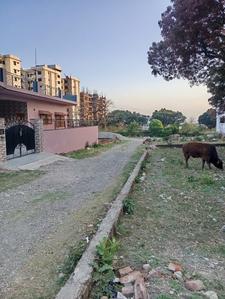 Image of 1750 Sq.ft Residential Plot / Land for sale in Kulhan, Dehradun for Rs. 9999999