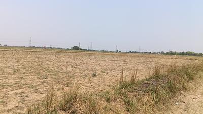 Chakeri Ward Plot View 2
