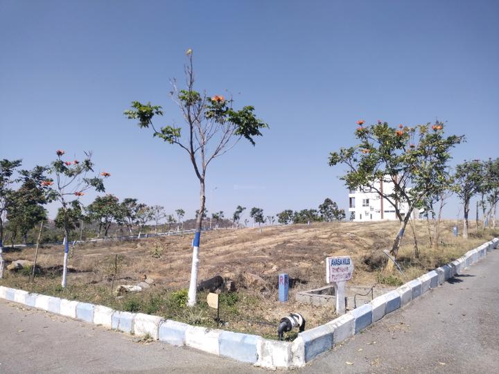 YBR Avasa Pride Main Image 1