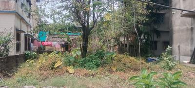 Seba Gram Plot View 2