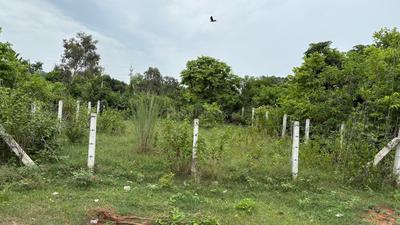 Image of 1500 Sq.ft Residential Plot / Land for sale in Anandapuram, Visakhapatnam for Rs. 3674000