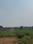 Green City Main Image 1