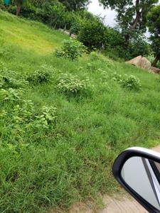 Koba Plot View 3