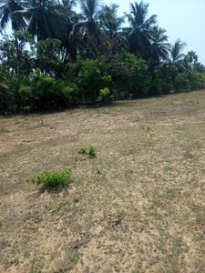Kuvathur Plot View 3