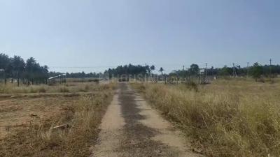Sundarapuram Plot View 1