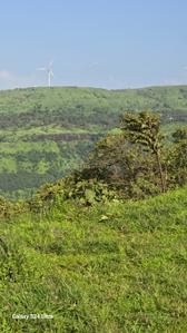 Image of 11000 Sq.ft Residential Plot / Land for sale in Jambhe, Pune for Rs. 1100000