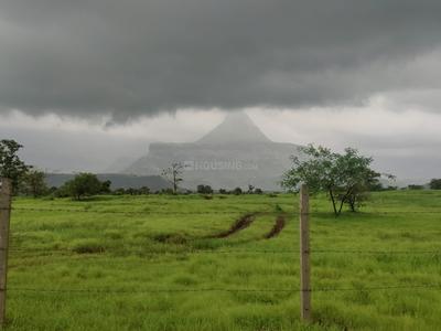 Image of 59895 Sq.ft Residential Plot / Land for sale in Murbad, Thane for Rs. 9075000