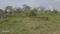 Hanspal Plot View 2