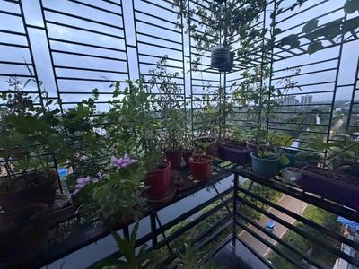 Balcony Image of 1230 Sq.ft 3 BHK Apartment / Flat for sale in Rajwada Heights, Narendrapur Kolkata for Rs. 8200000