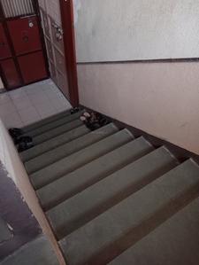 Image of 850 Sq.ft 1 BHK Apartment / Flat for sale in Badlapur East, Badlapur for Rs. 3500000