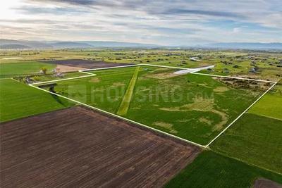 Image of 14164 Sq.ft Residential Plot / Land for sale in Yeida, Greater Noida for Rs. 420000000
