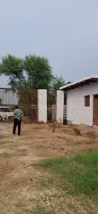 Image of 900 Sq.ft Residential Plot / Land for sale in Vrindaban Bangar, Vrindavan for Rs. 1250000