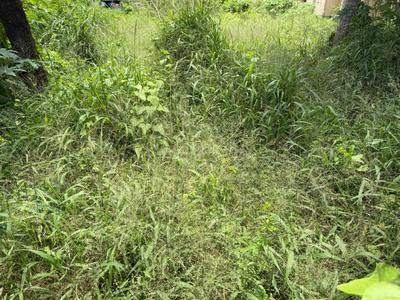 Keralarealty Plot View 3