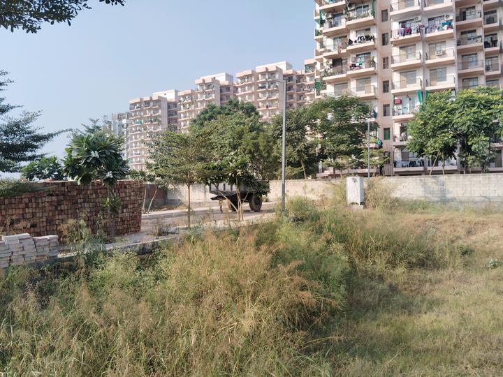 Skywhales Vienna Greens II Main Image 1