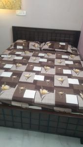 Bedroom Image of 619 Sq.ft 1 BHK Apartment / Flat for rent in Nungambakkam Chennai for Rs. 20900