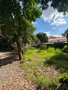 Image of 1600 Sq.ft 2 BHK Independent House for rent in Dalanwala, Dehradun for Rs. 35000