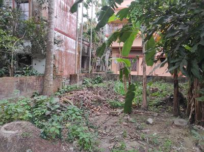 Paschim Nischintapur Plot View 2