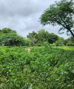 Image of 388 Sq.ft Residential Plot / Land for sale in Kudasan, Gandhinagar for Rs. 27160000