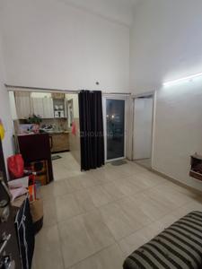 Hall Image of 530 Sq.ft 1 BHK Apartment / Flat for rent in Gaurs 14th Avenue, Noida Extension Greater Noida for Rs. 16500