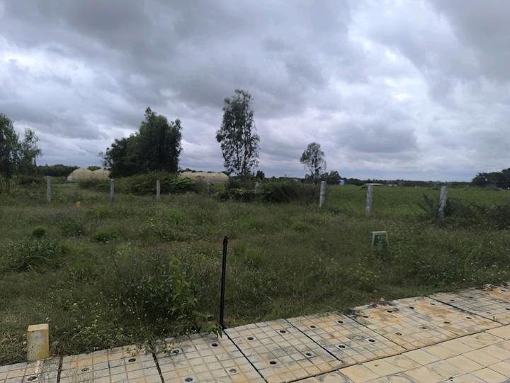 Devanahalli Main Image 1