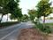 Uppal Gurgaon 99 Internal Roads 2