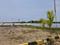 Madanapuram Main Image 1